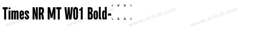 Times NR MT W01 Bold字体转换